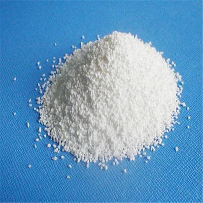 合肥強(qiáng)氯精氯錠 速溶消毒片氯片多少錢(qián)一公斤